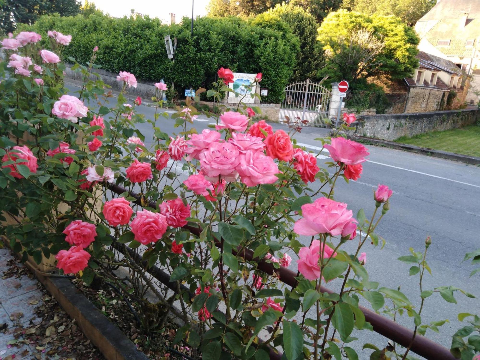 Hotel Du Pont Et Restaurant A Groléjac エクステリア 写真